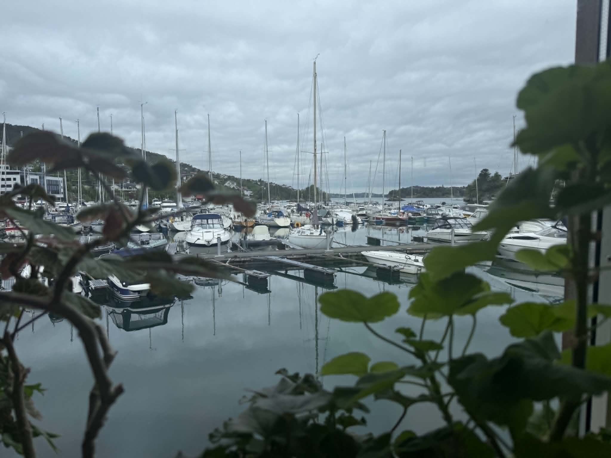 Utsikt mot båthavnen fra atelieret — båter speiler seg i stille vann